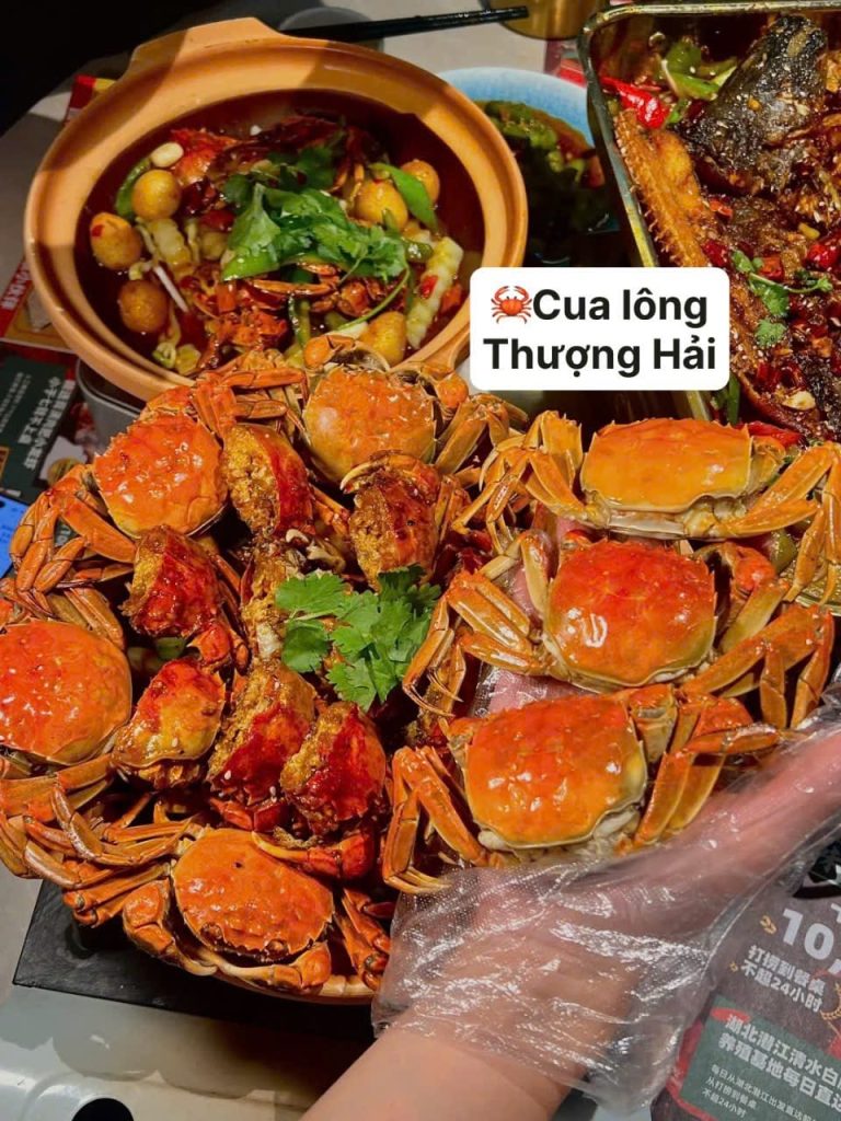 du lịch thượng hải