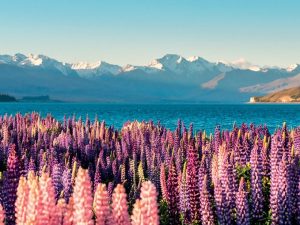 eSIM du lịch New Zealand