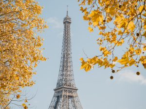 esim du lịch Pháp